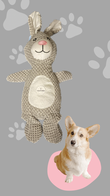 Rabbit Plush Dog Toy